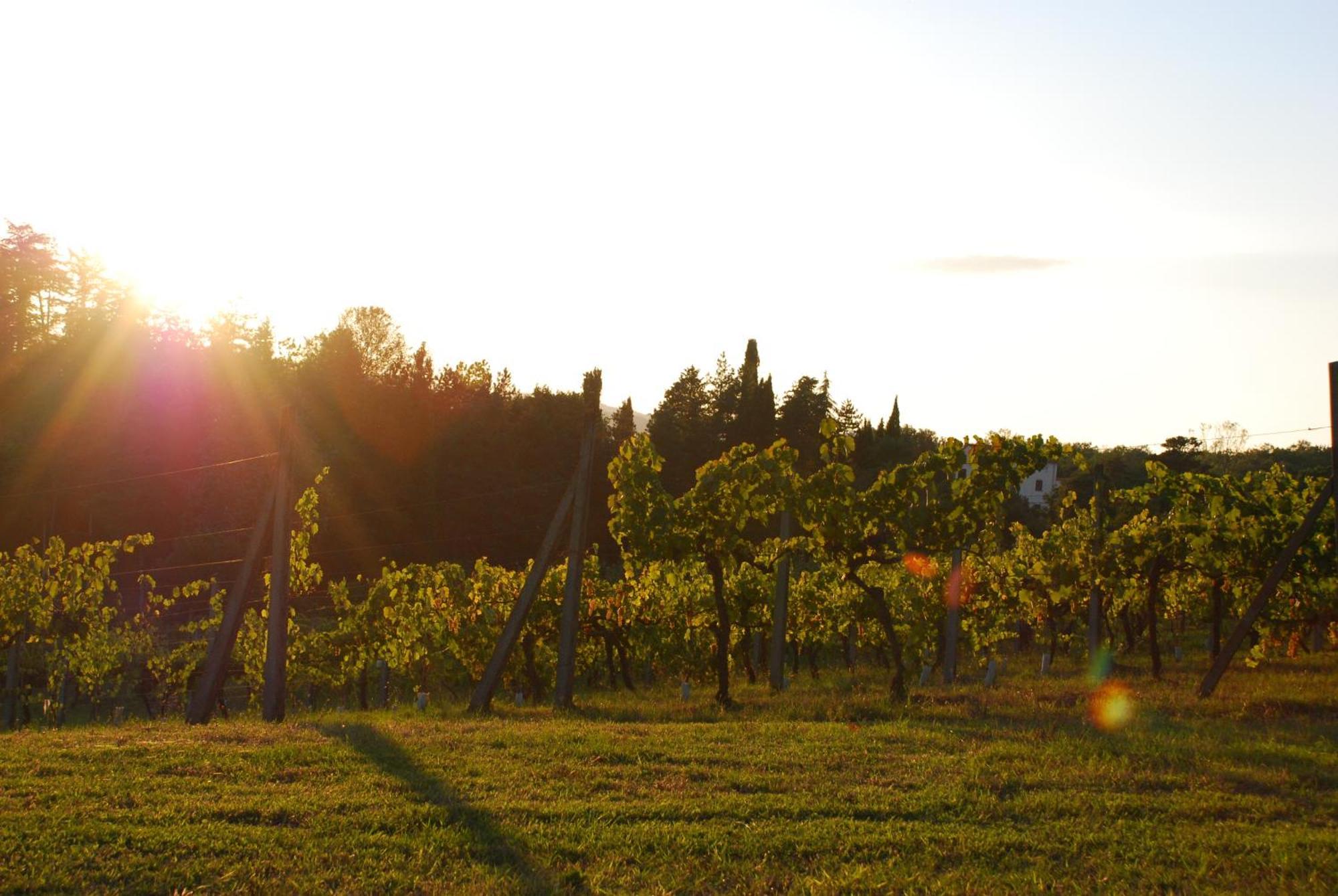 Agriturismo Il Sasso Anghiari