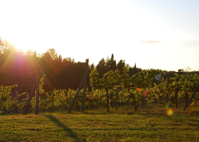 Agriturismo Il Sasso
